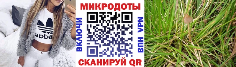Галлюциногенные грибы мицелий Семилуки