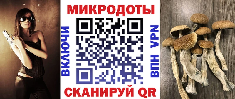продажа наркотиков  Семилуки  Галлюциногенные грибы Psilocybine cubensis 